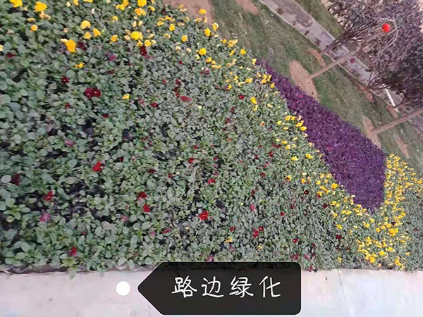 微信图片_20190305103601.jpg