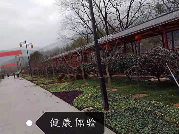 微信图片_20190305103627.jpg