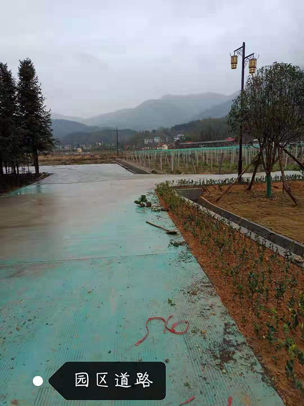 微信图片_20190305103651.jpg