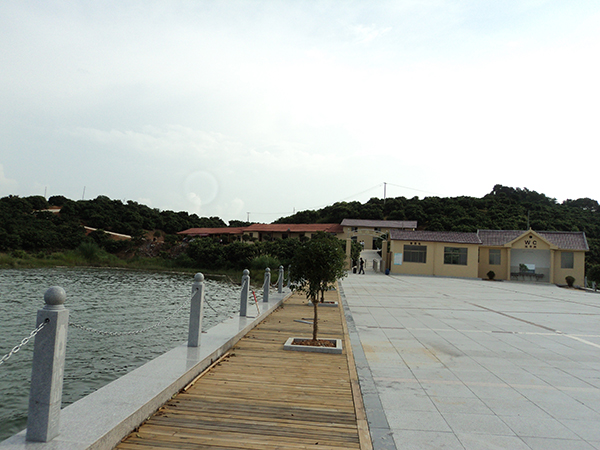 新光杨梅园.JPG