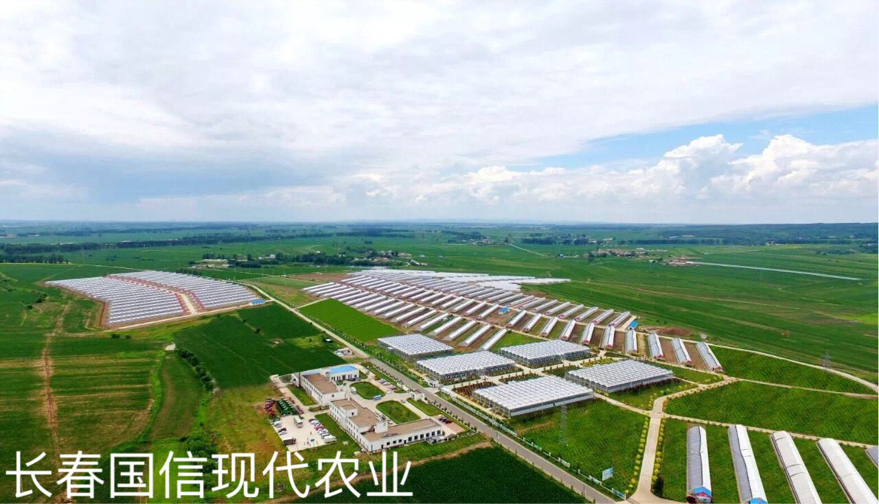 国信现代农业远景.JPG