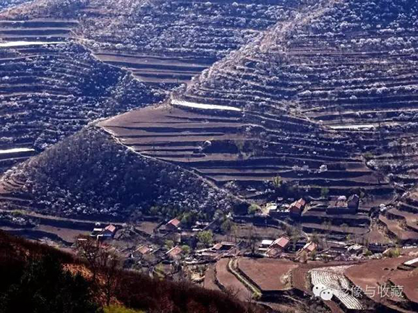 石埂梯田.jpg