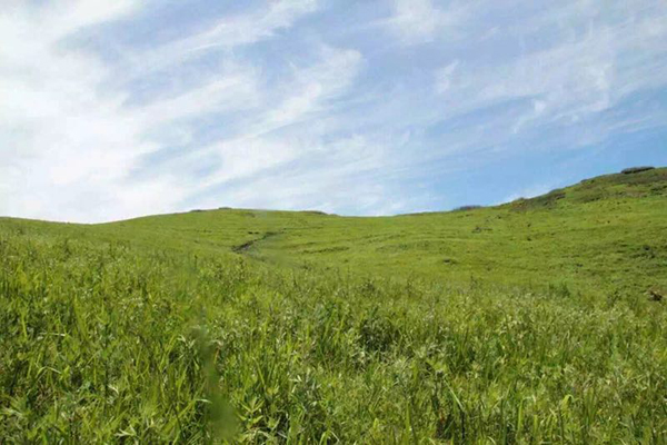 夏日大裂山.jpg