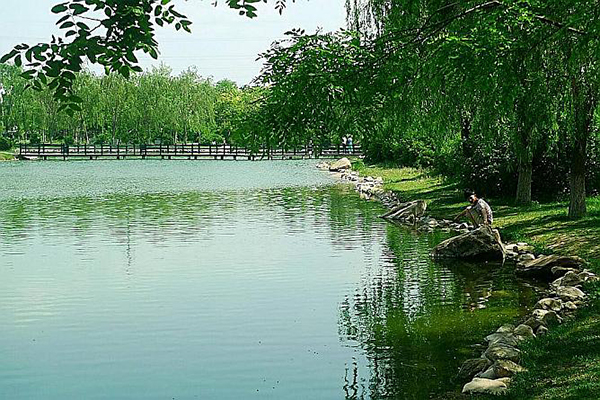 熊岳植物园3.jpg