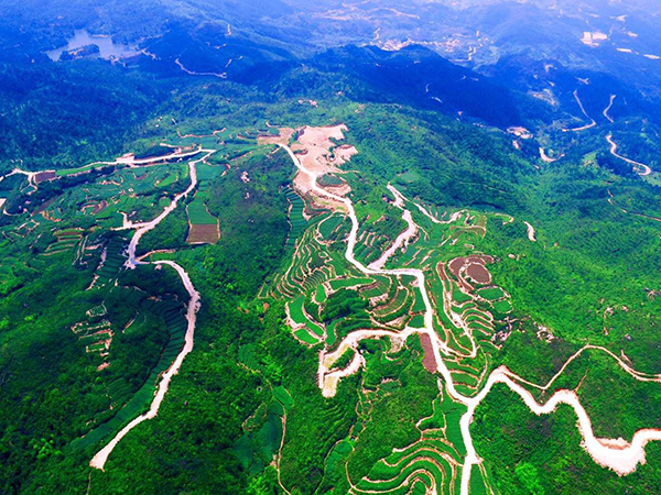 全景.jpg