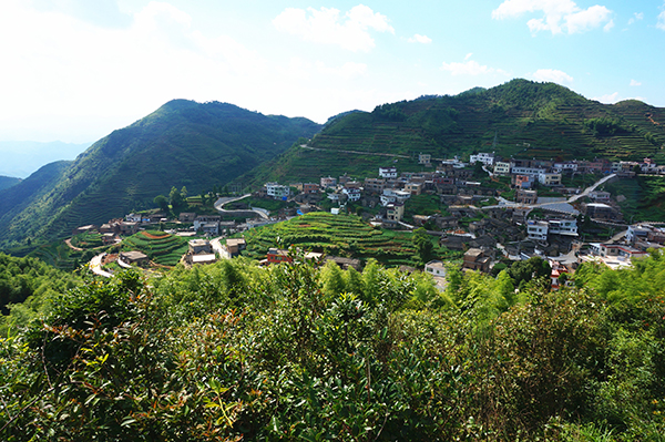 《村庄全景》.jpg