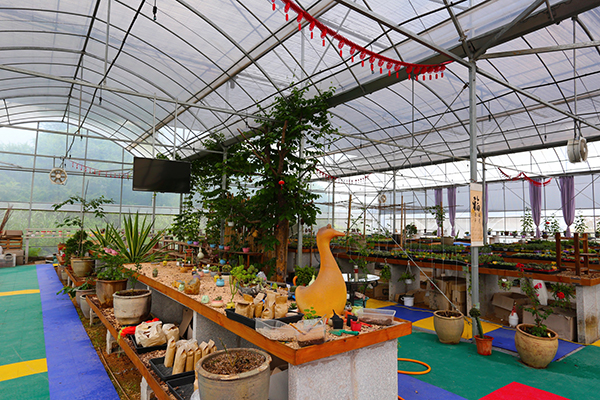 陶艺植物馆.jpg