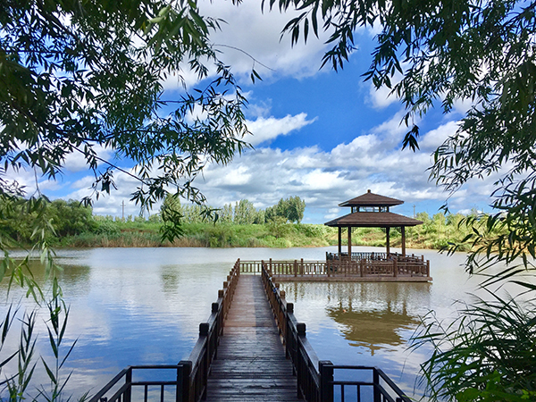 柳林村湖色.jpg