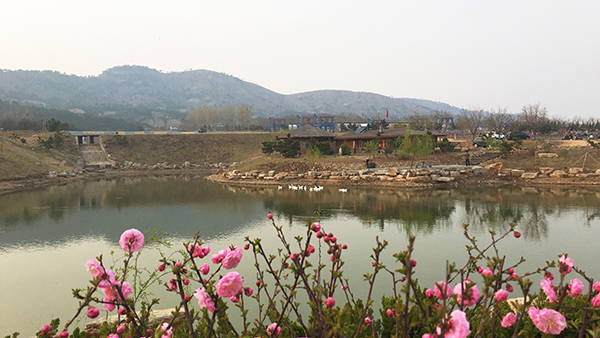 八仙湖水景.jpg