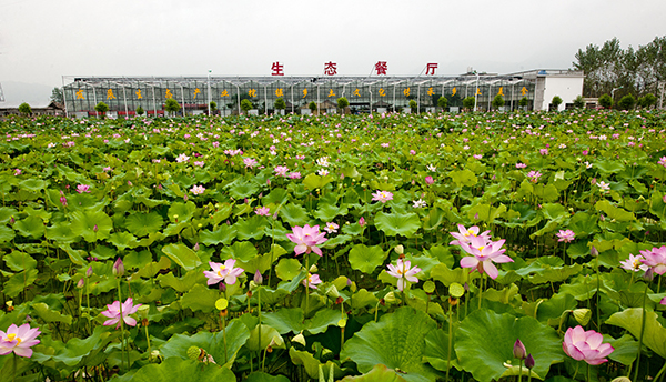 生态餐厅外景.jpg
