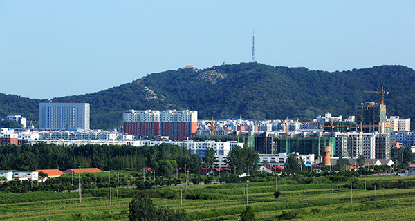 仰望盘龙山.jpg