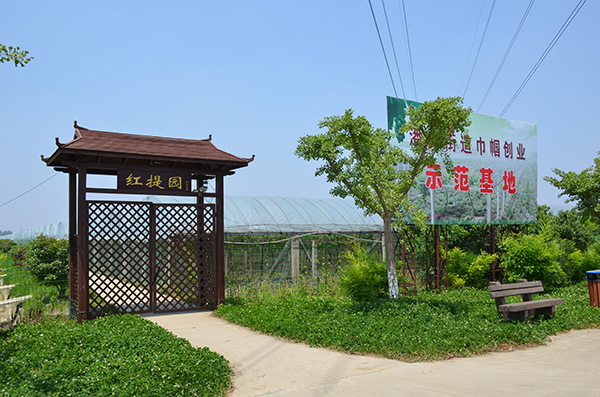 草莓园.jpg