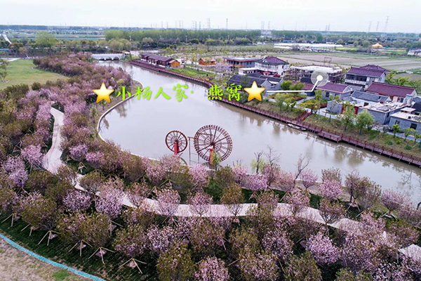 小杨人家整体图.jpg