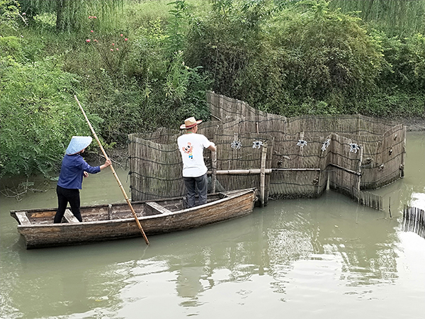 蟹村“以簖捕蟹”展示.jpg