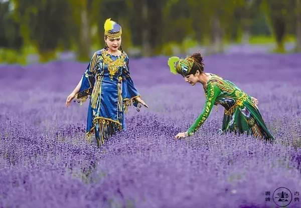 yidian_119215221615.jpg