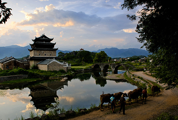 上甘棠风光---牧归.JPG