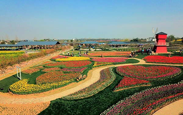 1 枝江市同心花海生态观光园-中心区域.jpg