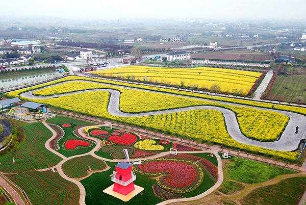 2 枝江市同心花海生态观光园-花田游乐.jpg