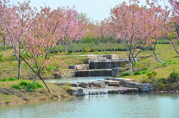 7 枝江市同心花海生态观光园-三叠泉.jpg