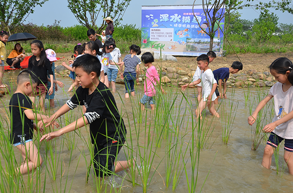 8 枝江市同心花海生态观光园-浑水摸鱼.bmp