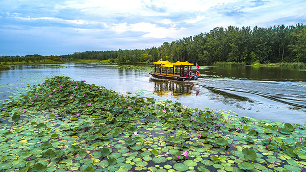 台儿庄涛沟河风景区——环湖观光.jpg