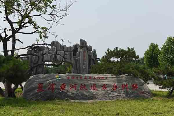 古桑树群.JPG