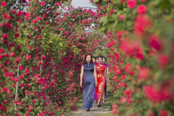 5.玫瑰文化节.jpg