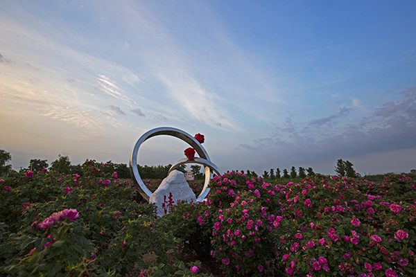 12.情系一生景点.jpg
