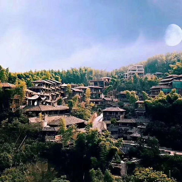 泊园茶村.jpg
