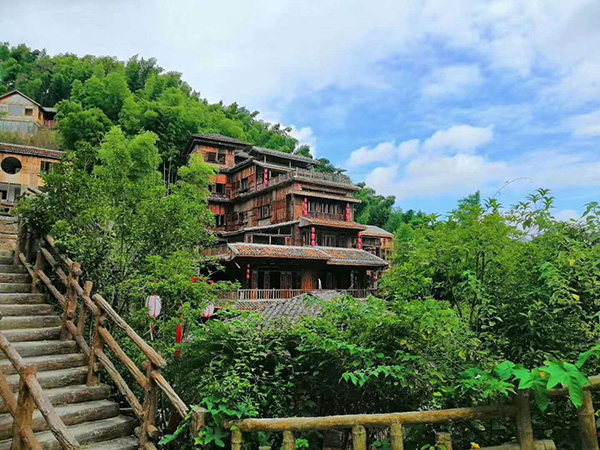 泊园茶村2.jpg