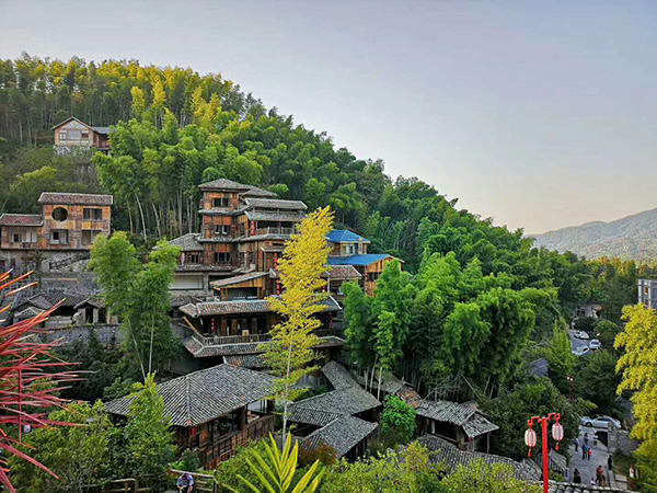 泊园茶村6.jpg
