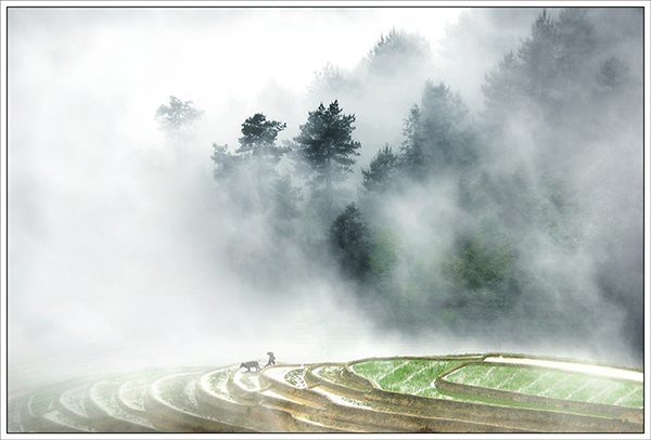 梦幻家园-黄啸.jpg