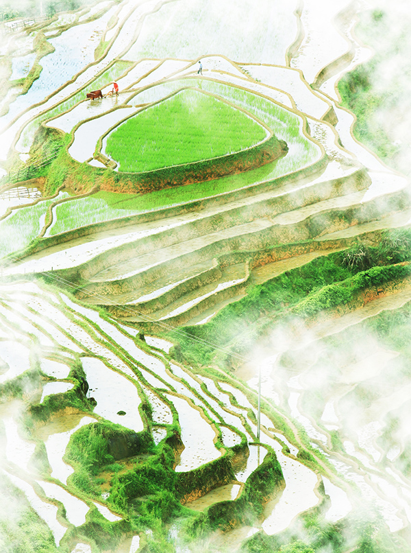 《天光田影共徘徊》（单幅）江西张卫国.jpg