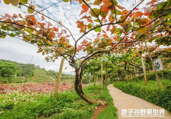 君子谷.jpg