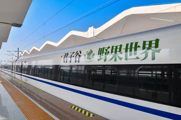 君子谷冠名动车.jpg