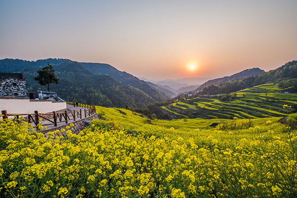 精品点1民生夕阳花海图片_20190304140419.jpg