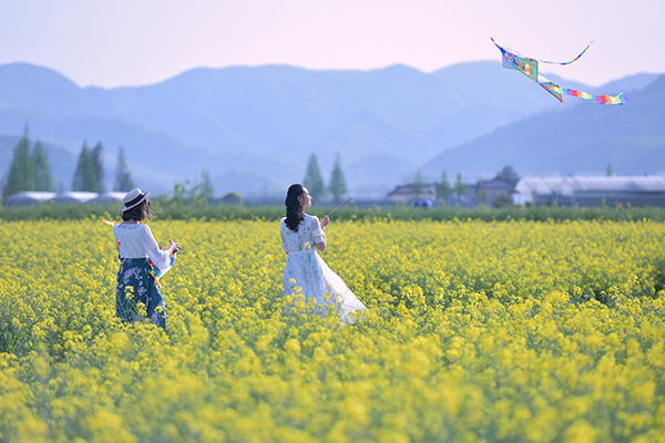 精品点4-姚江农业公园之花海稻香.jpg