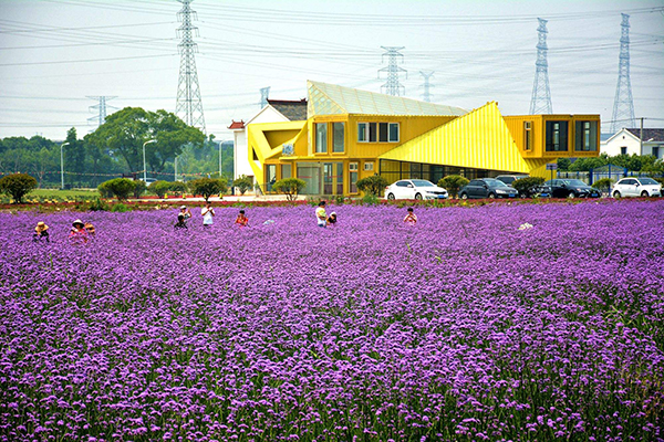 精品点2-荪湖花海.jpg