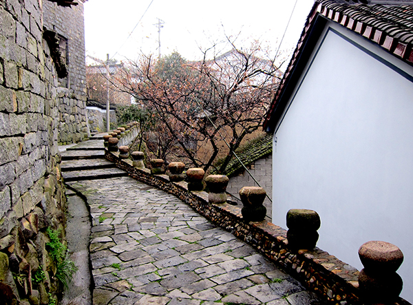 岭南东澄村1.JPG