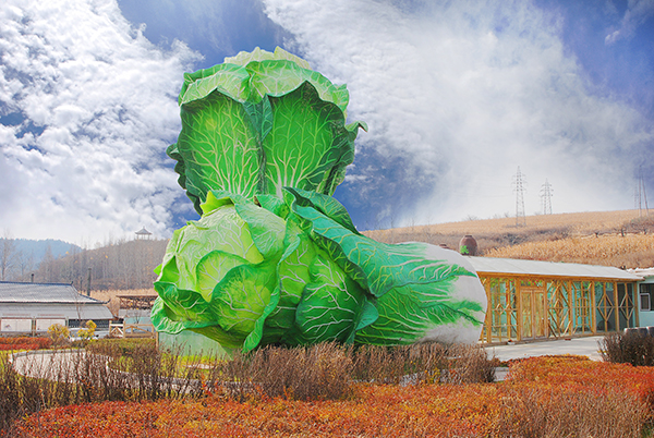 地窖辣白菜.JPG