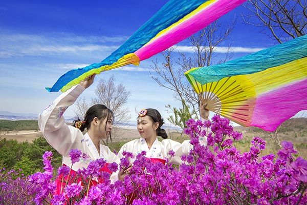 满园春色金达莱 (3).jpg