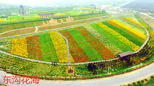 东沟花海.jpg