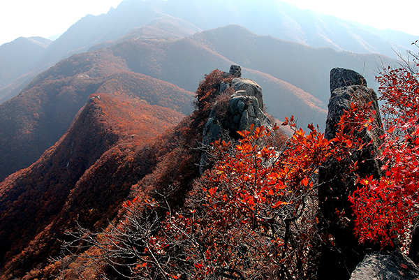 0醉卧歇马峰.jpg