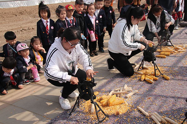 保定徐水刘伶田园小镇图片