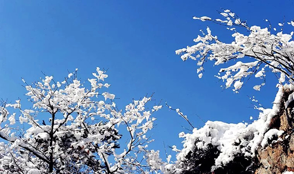 天门山冰雪大世界 (3).jpg