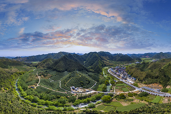 茶园全景图(益龙芳)（内存大）.jpg