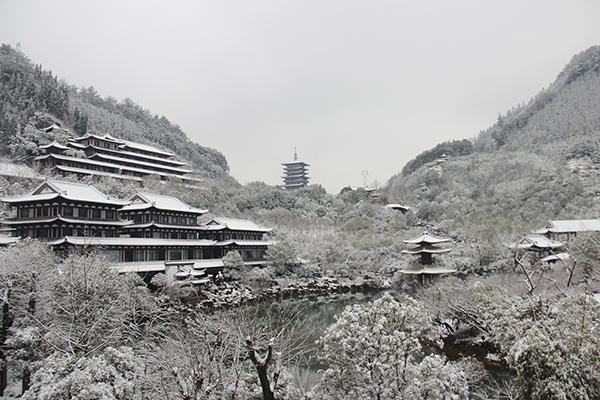 醉根艺品1 (根宫佛国).jpg