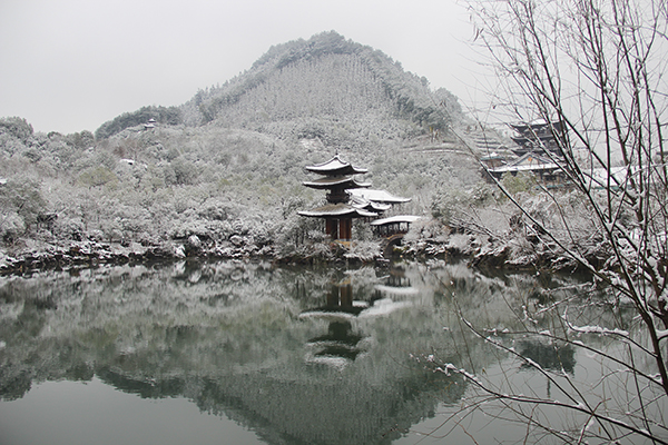 醉根艺品2(根宫佛国).jpg