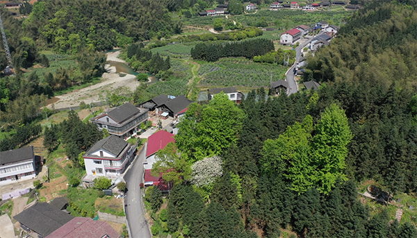 村容村貌 (2).png