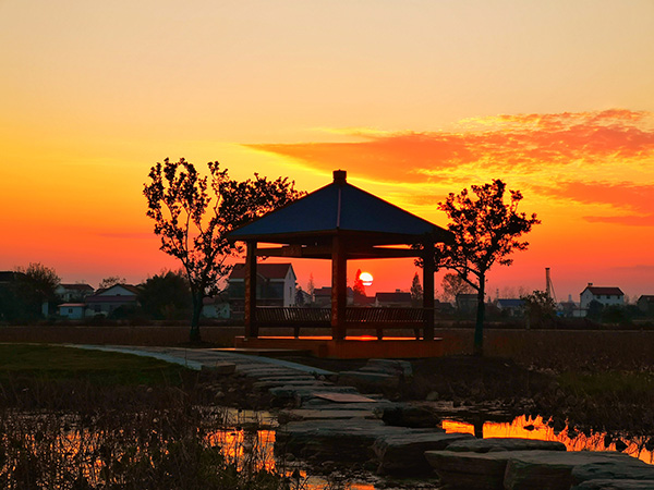 天景花池夕阳.jpg